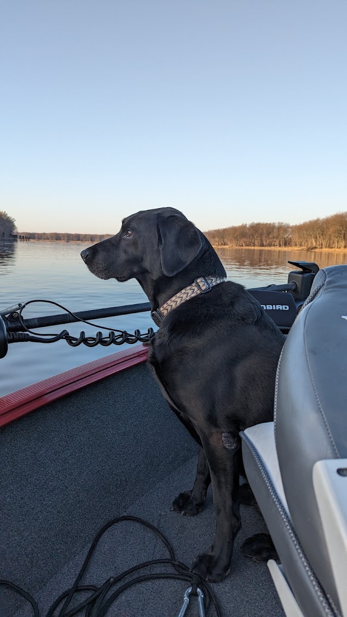 De Soto Riverview Cabins